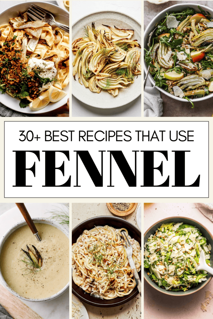 30+ EASY Fennel Recipes (Fennel Bulb Recipes)