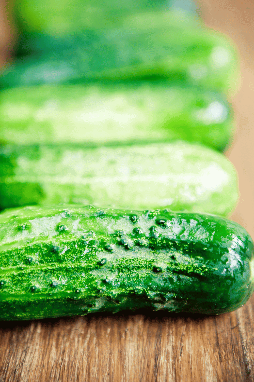 15+ Different Types of Cucumbers (with Pictures)