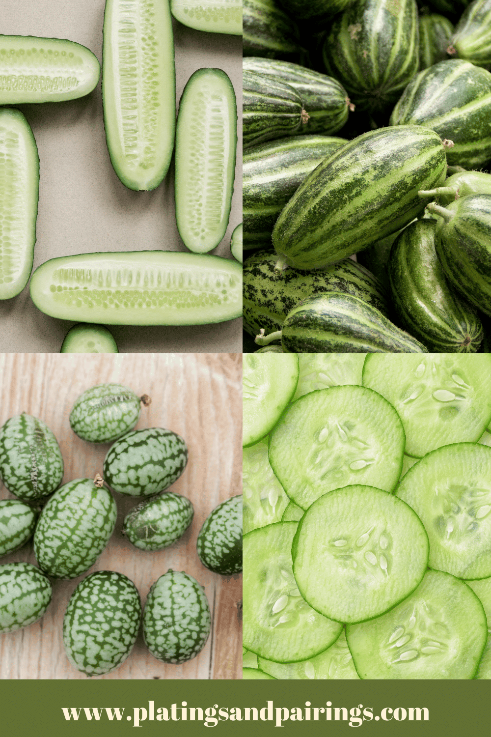 15+ Different Types of Cucumbers (with Pictures)