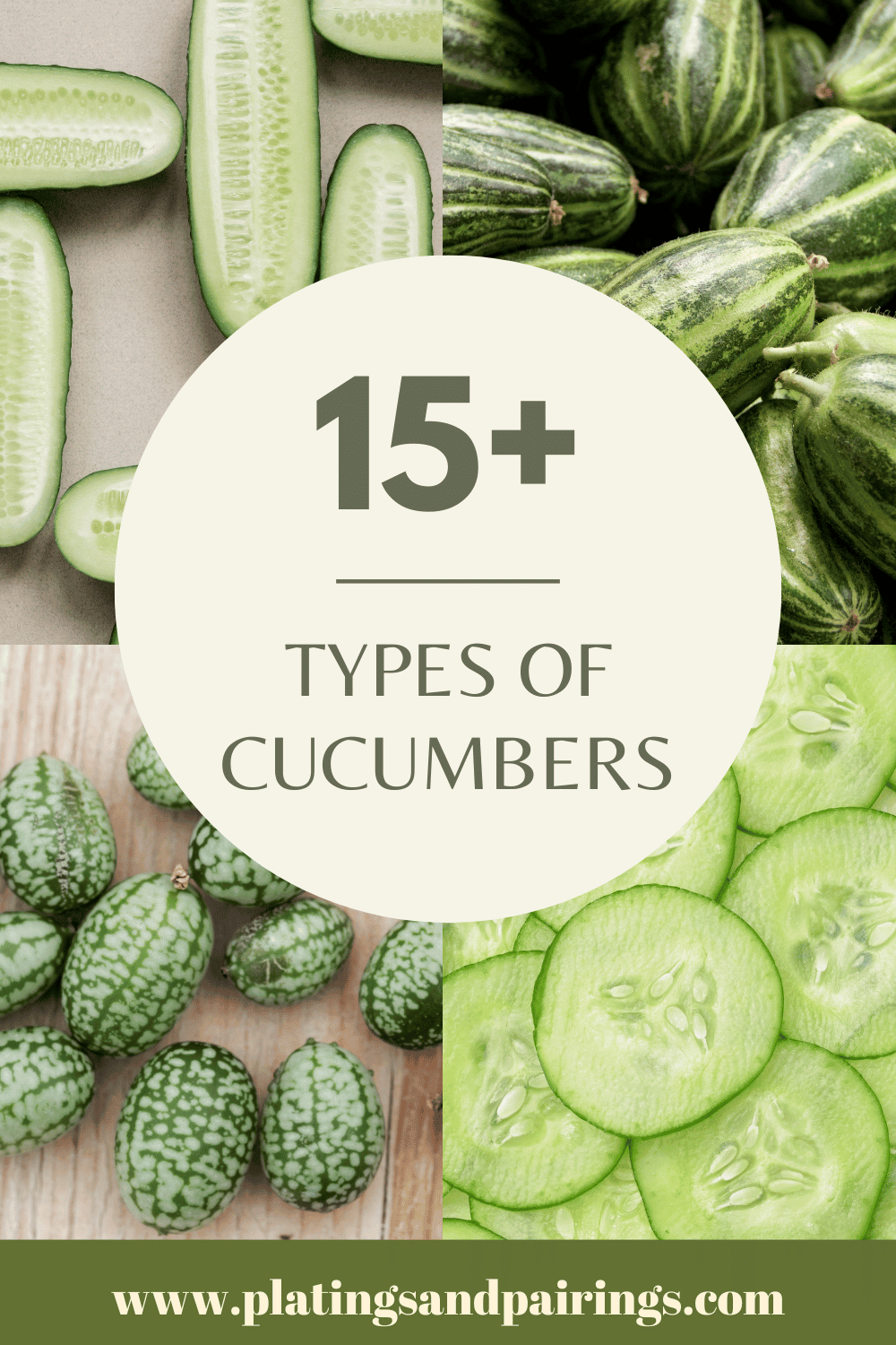 Collage of different types of cucumbers with text overlay.