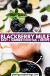 Blackberry mule pinterest image.