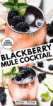 Blackberry Mule Cocktail pinterest image.