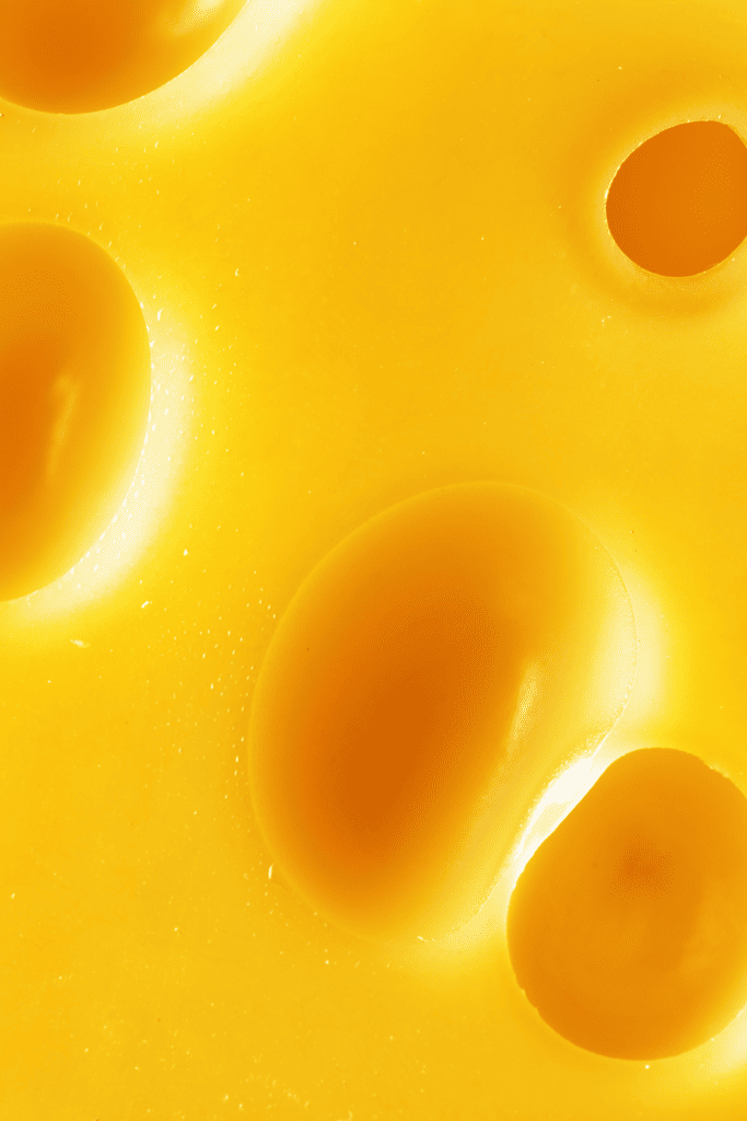 CLOSE UP OF PIECE OF CHEESE WITH HOLES. 