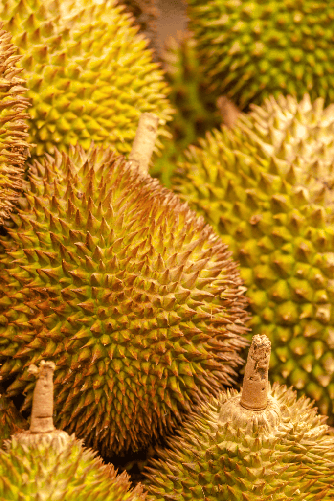 Pile of durian. 