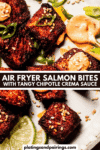 Air fryer salmon bites pinterest image.