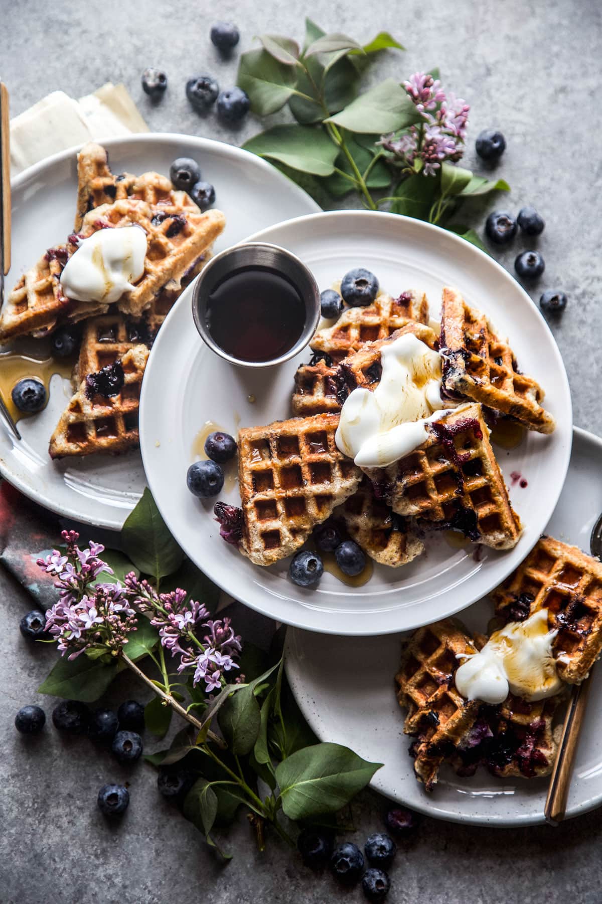 35+ High Protein Cottage Cheese Recipes Platings + Pairings