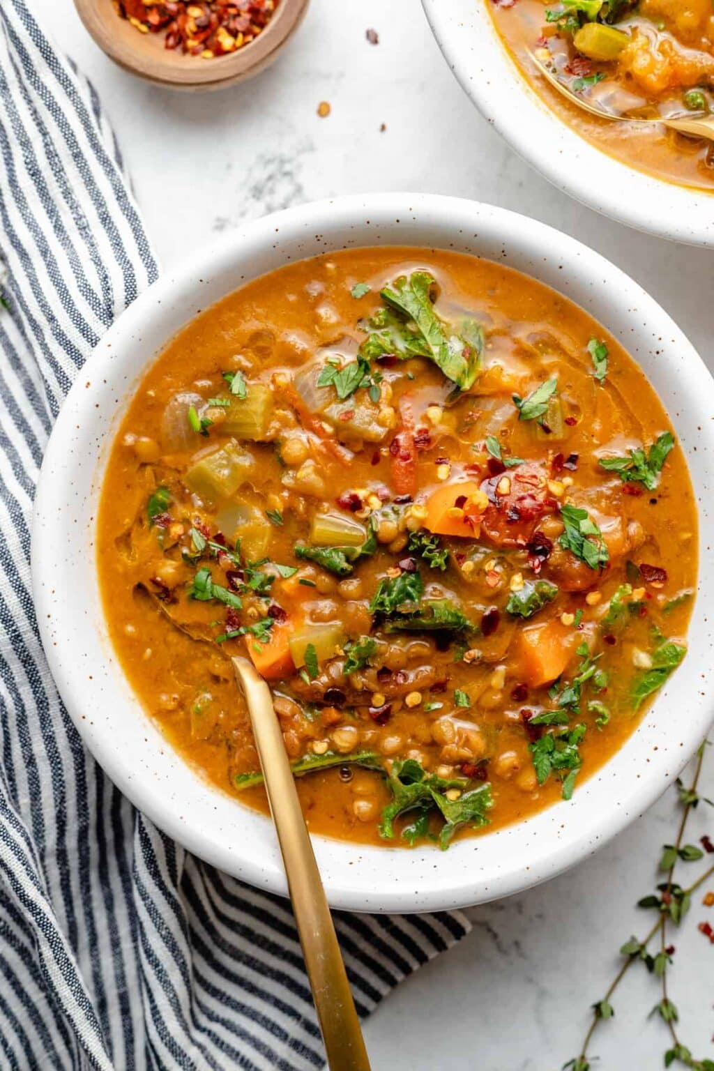 20+ Delicious Indian Soup Recipes - Platings + Pairings