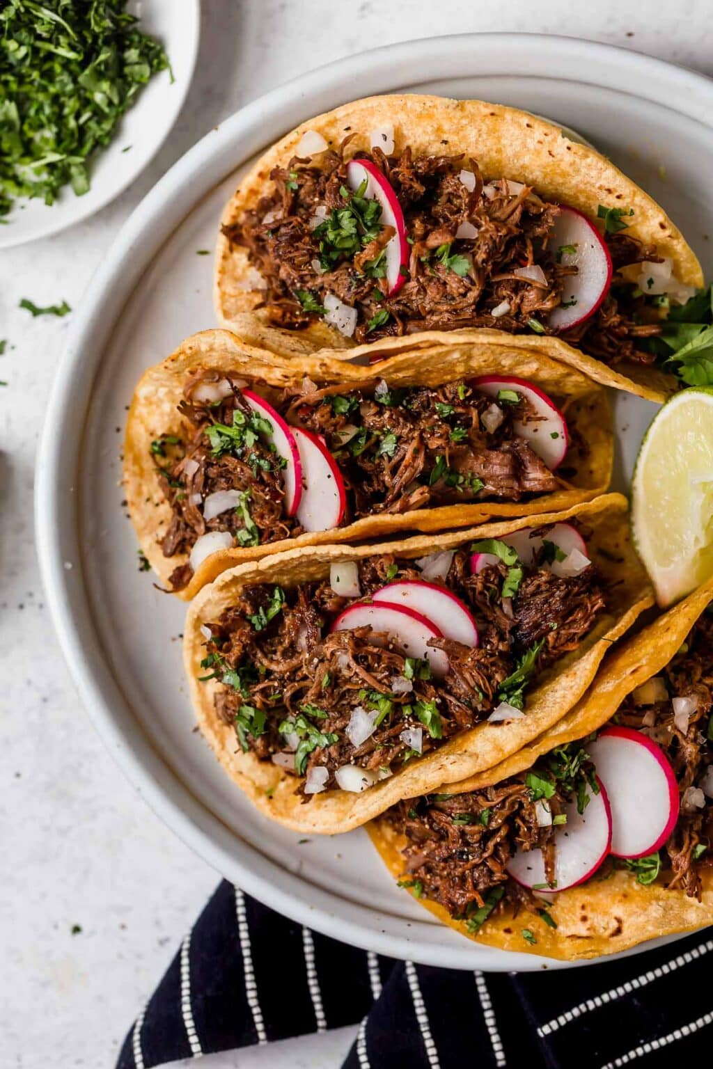 35+ Traditional Mexican Beef Dishes - Platings + Pairings