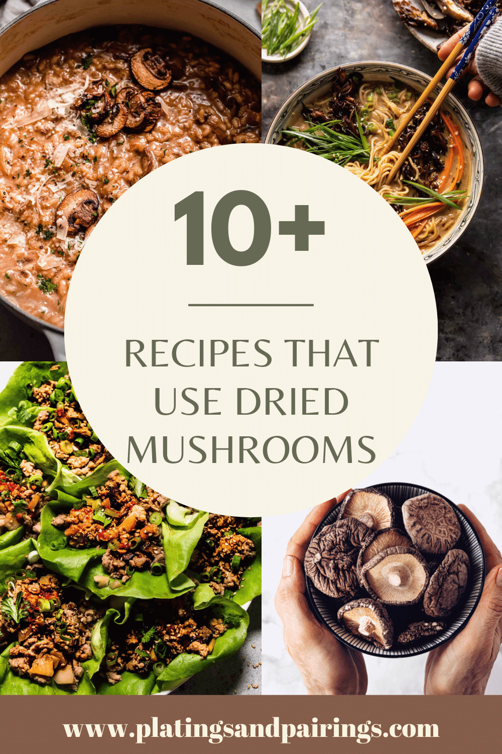 Collage of dried mushroom recipes with text overlay.