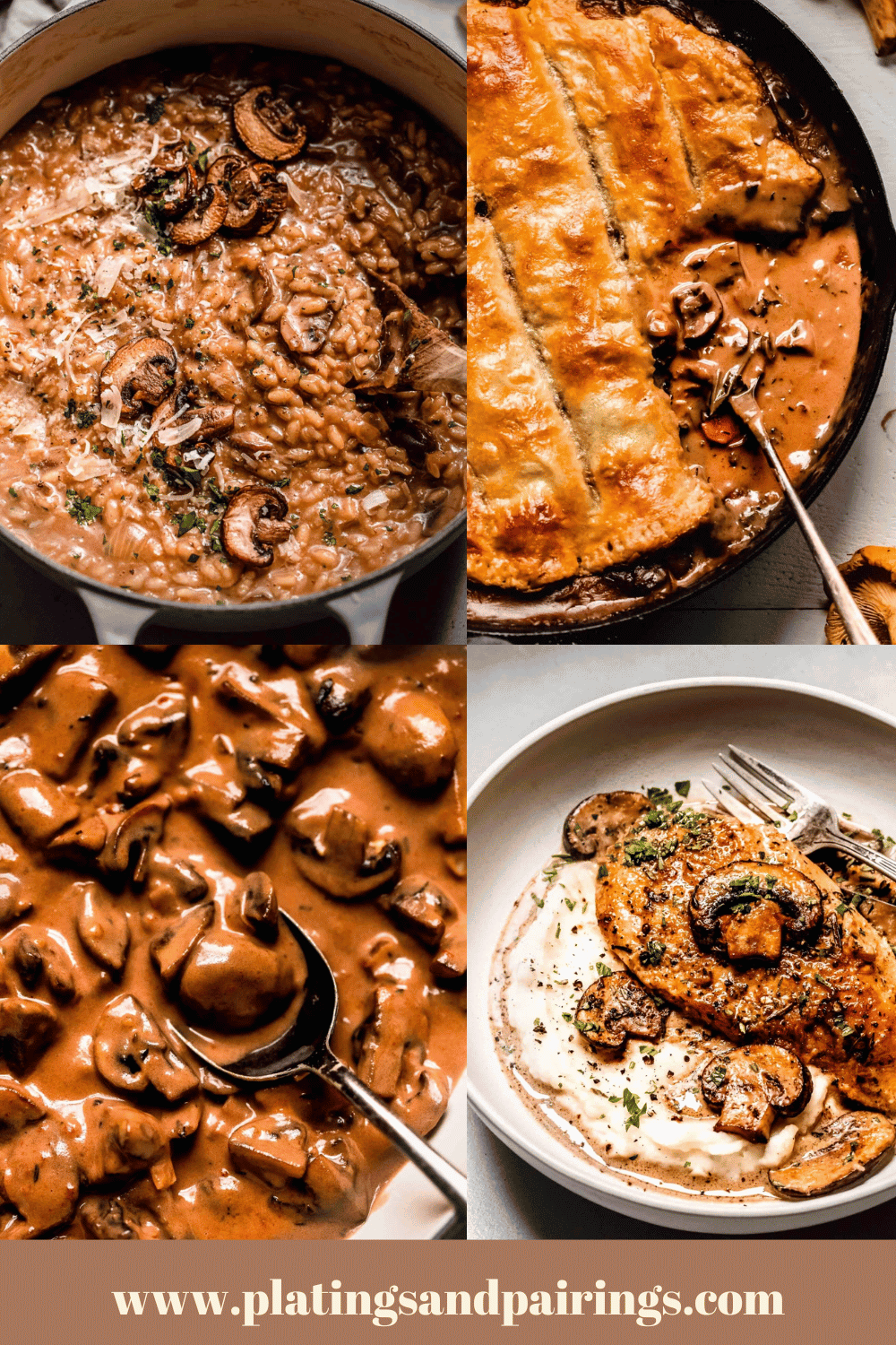 35+ Easy Mushroom Recipes - Platings + Pairings