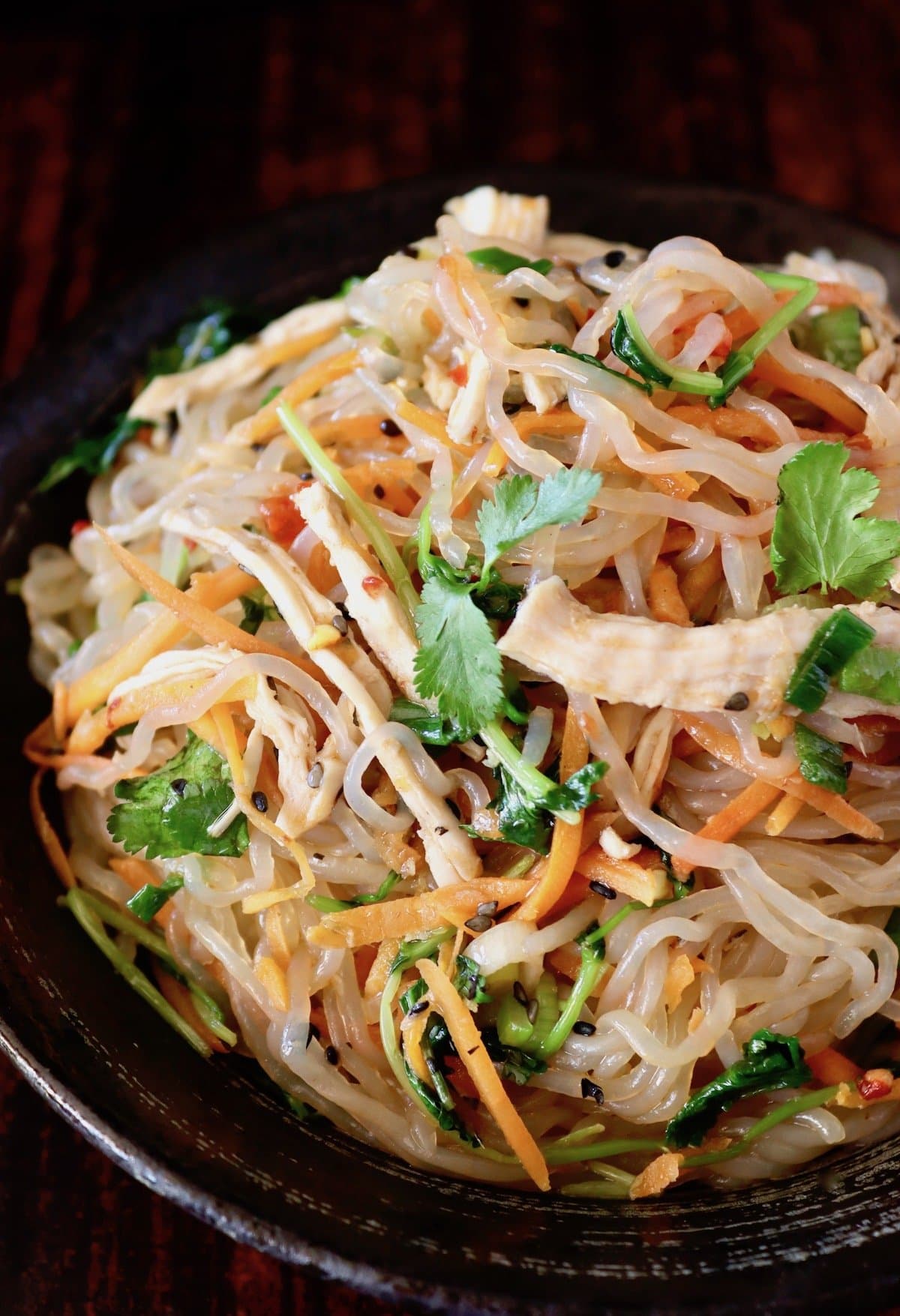 25+ Shirataki Noodle Recipes (Easy & Healthy) - Platings + Pairings