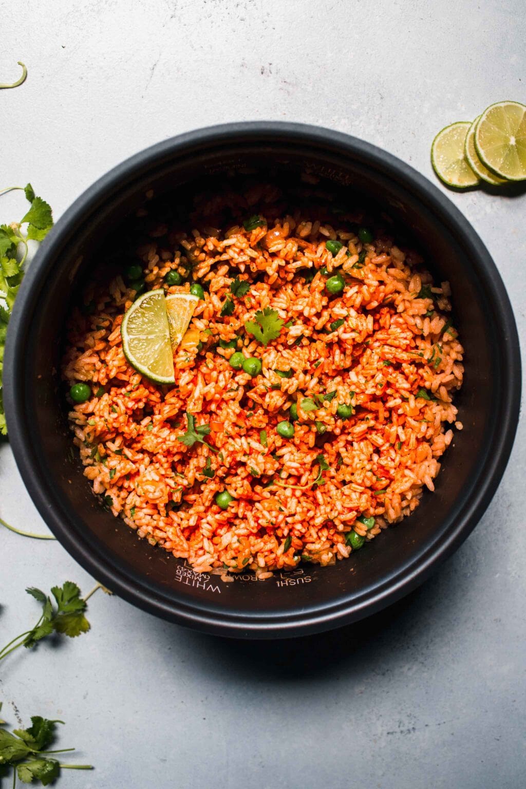 Rice Cooker Mexican Rice (Easy Side Dish Recipe) Platings + Pairings