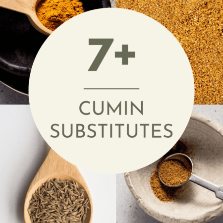 Collage of cumin substitutes with text overlay.