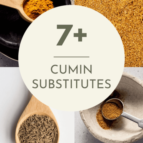 The BEST Substitute for Cumin (7+ Swap In Ideas) Platings + Pairings