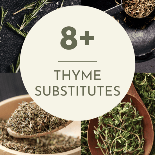 The BEST Substitute for Thyme (8+ Swap in Ideas) Platings + Pairings