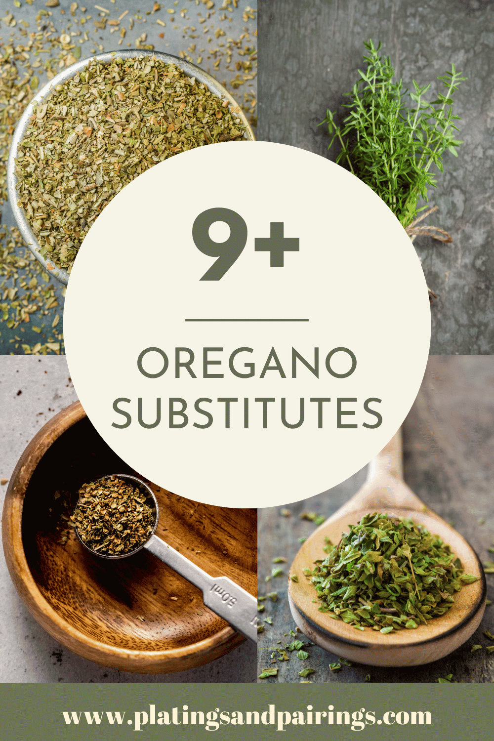 Collage of oregano substitutes with text overlay.