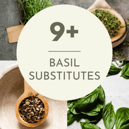 Collage of basil substitutes with text overlay.