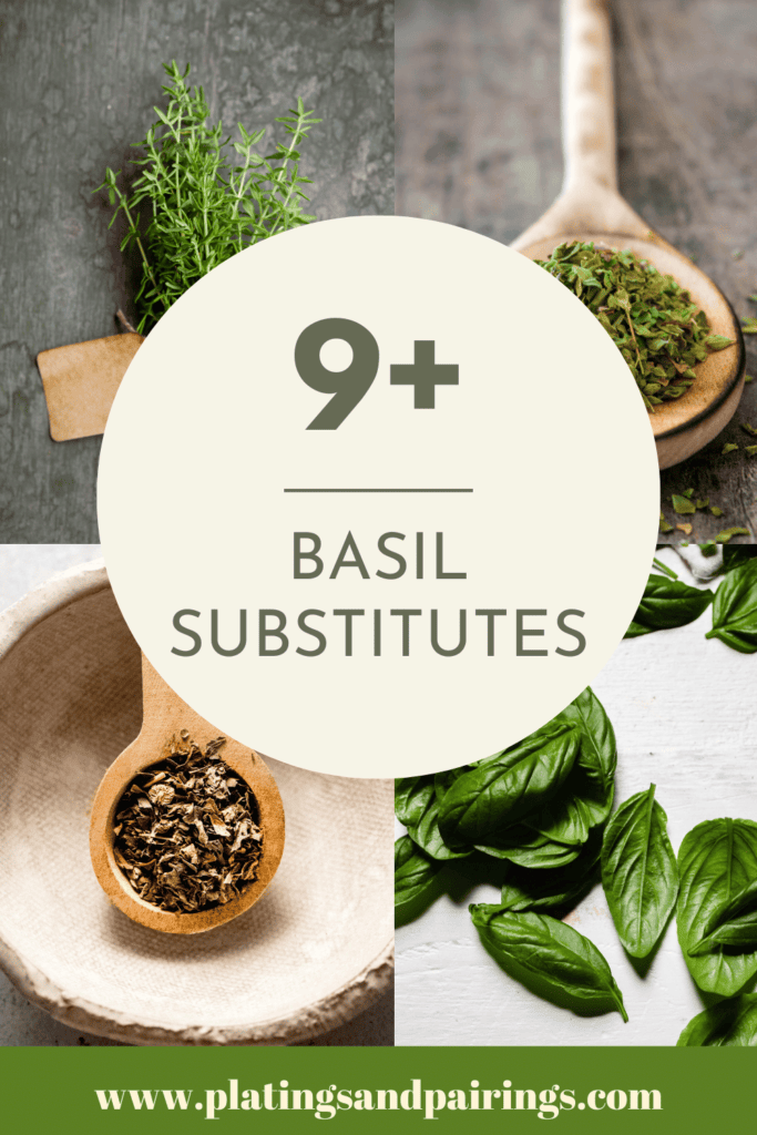 The BEST Substitute for Basil (9+ Great Options) Platings + Pairings