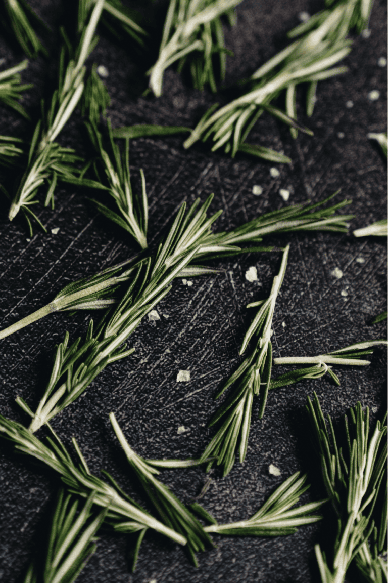 The BEST Substitute for Thyme (8+ Swap in Ideas) Platings + Pairings