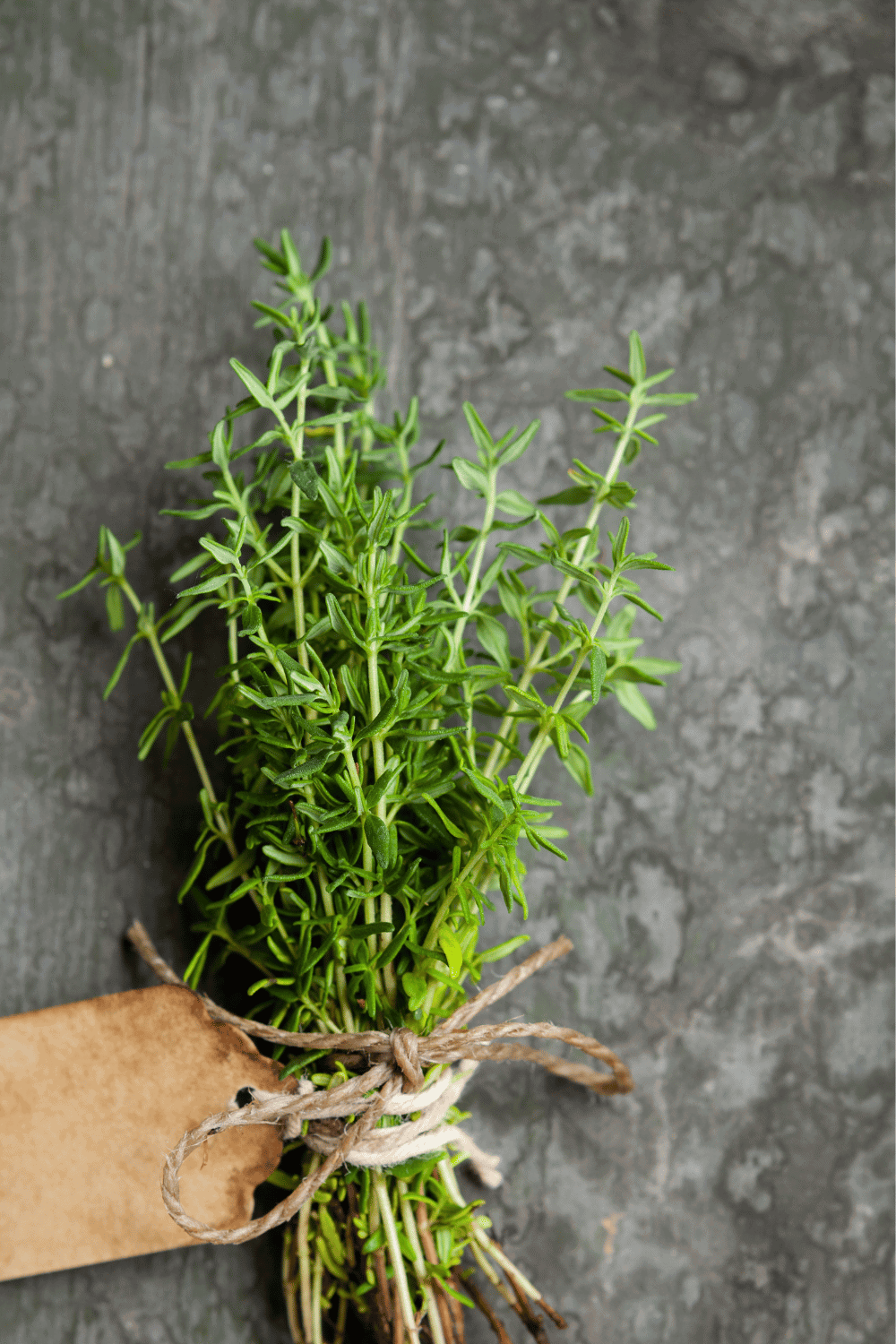 The BEST Substitute for Tarragon 10 SwapIn Ideas Platings + Pairings