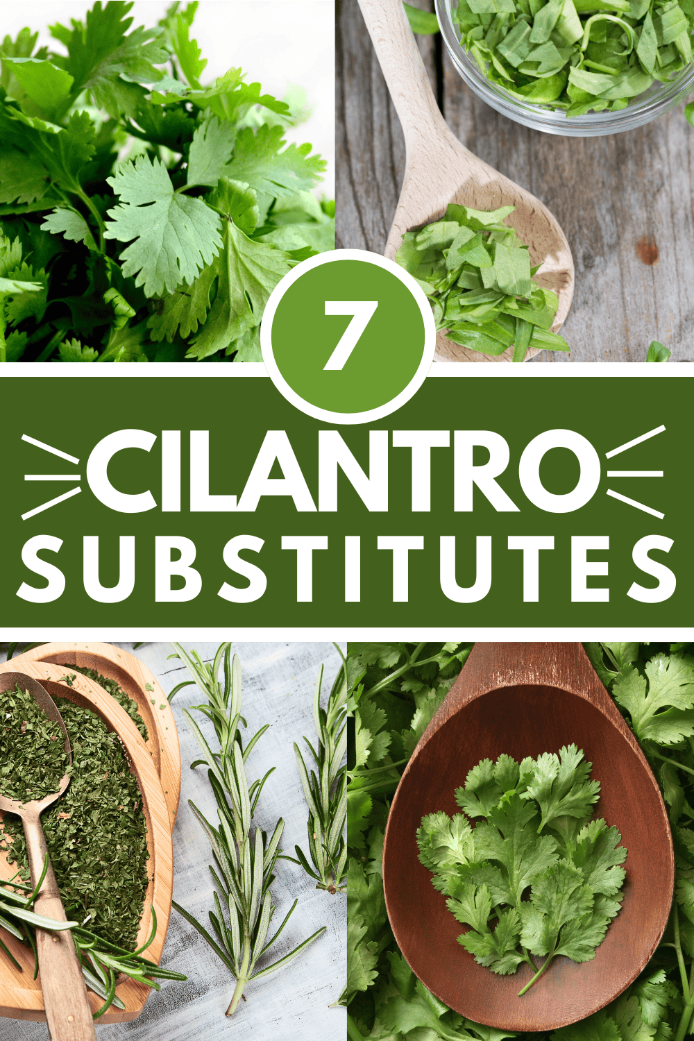The BEST Substitute for Cilantro: 7+ Swap In Ideas