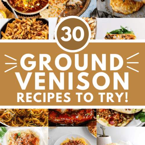 COLLAGE OF GROUND VENISON RECIPES WITH TEXT OVERLAY.
