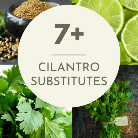 Collage of cilantro substitutes with text overlay.