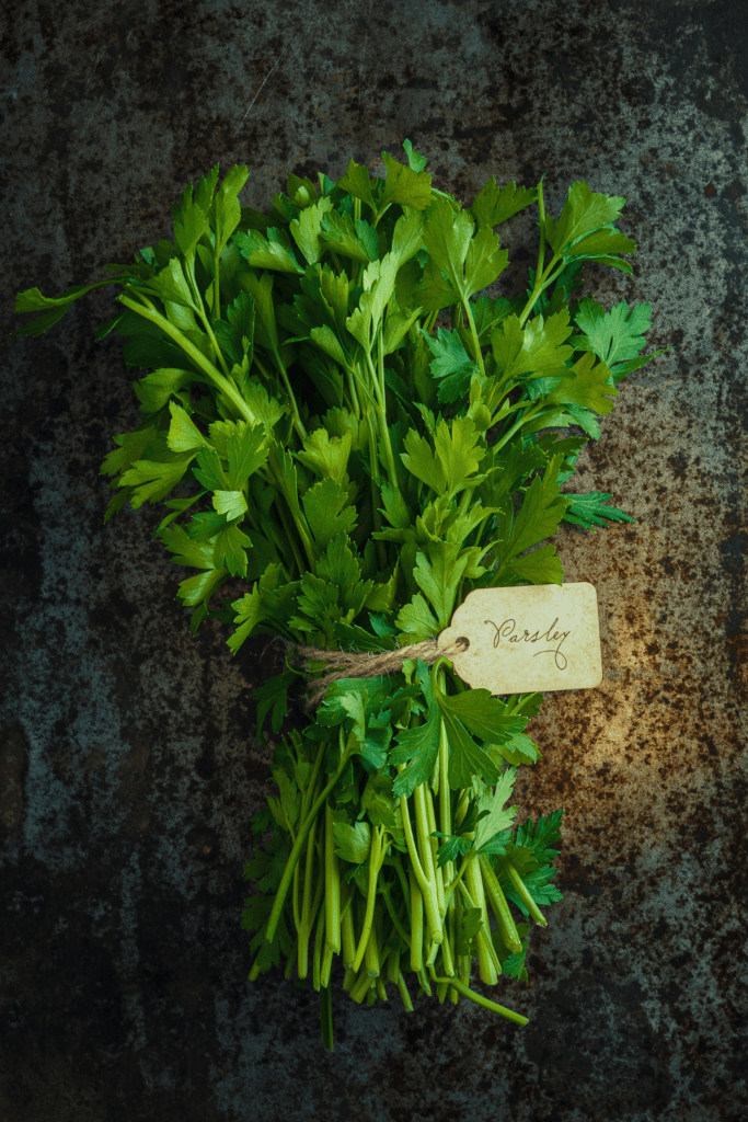 Bundle of parsley.