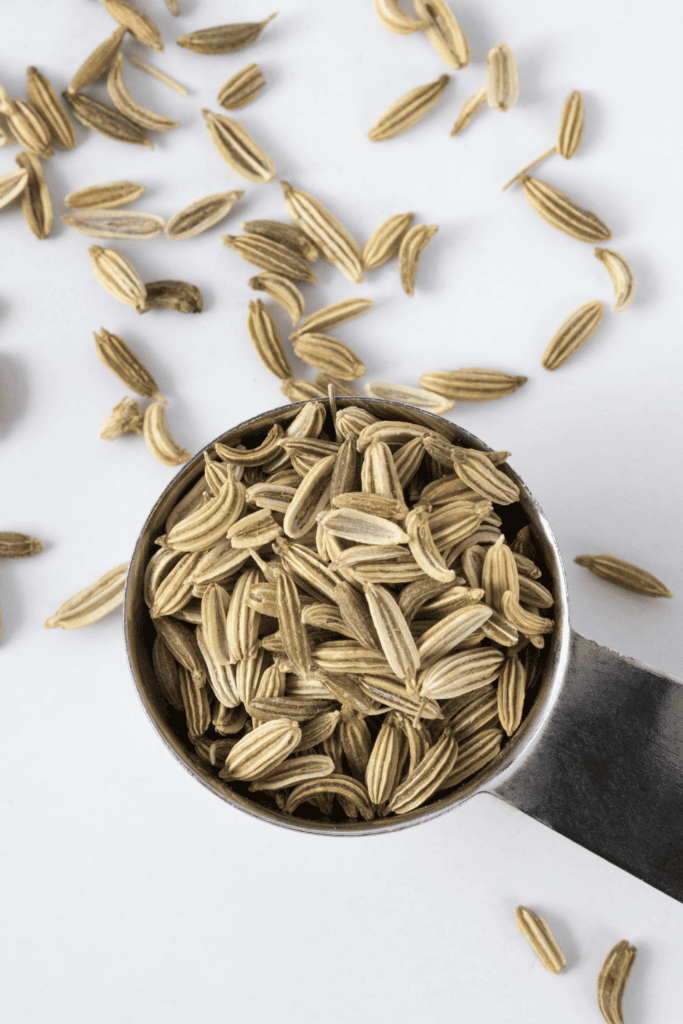 Fennel seeds on spoon.