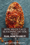Cover image of taco seasoning on spoon with text overlay.