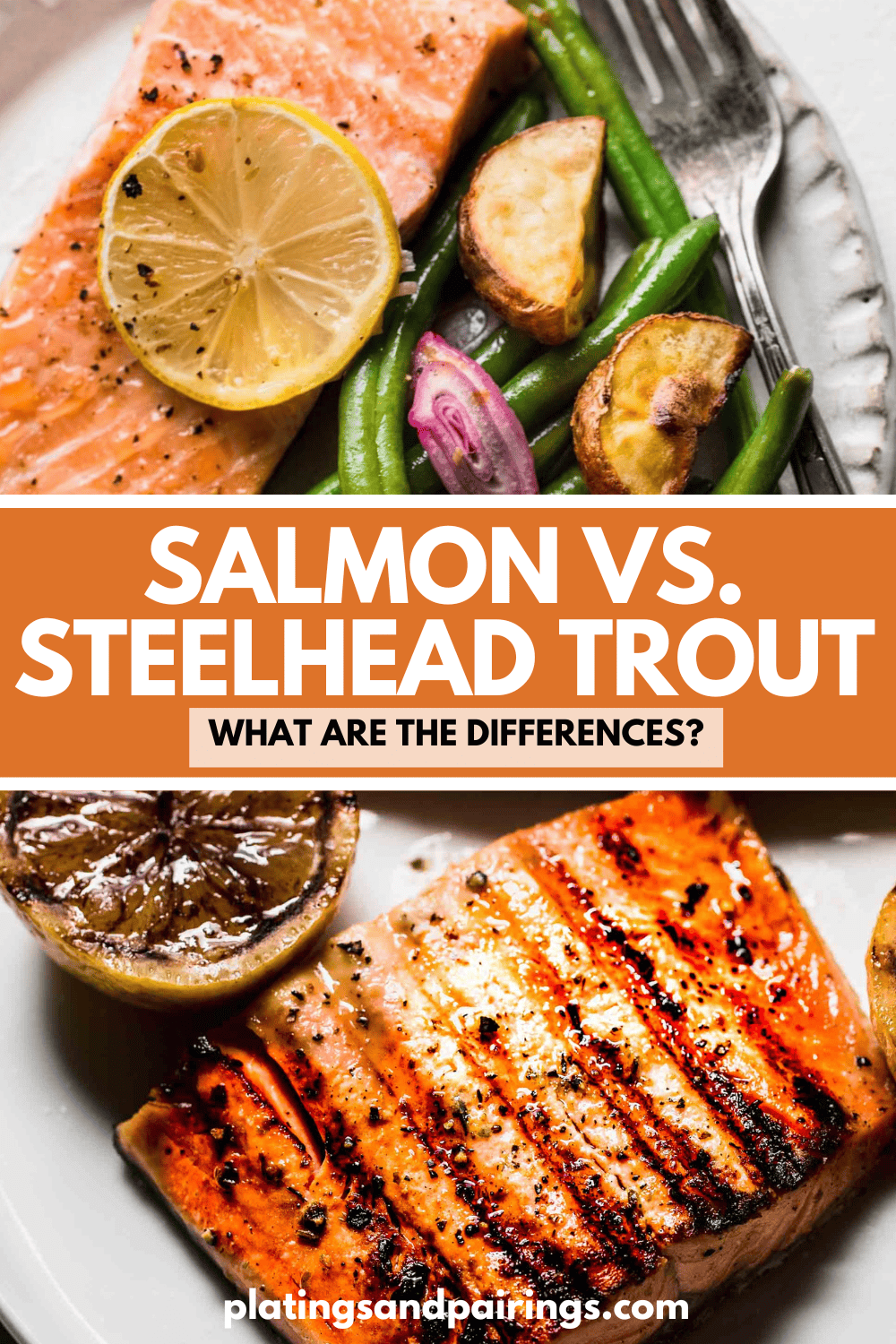 Salmon vs. Steelhead Trout: What Are The Differences?