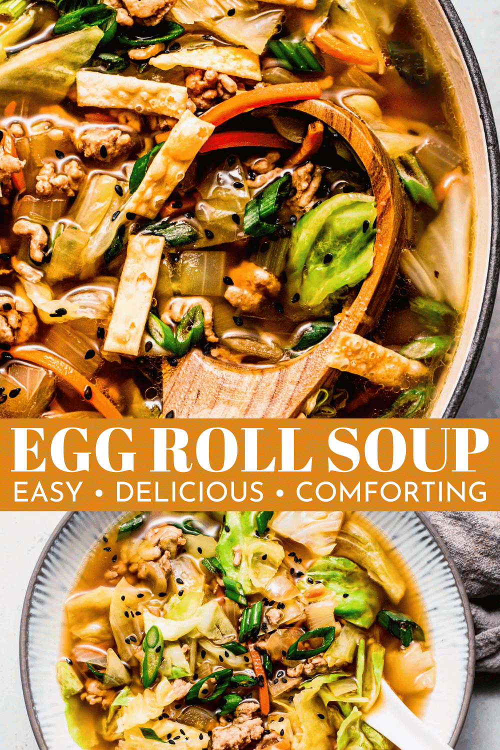 Egg Roll Soup Platings + Pairings