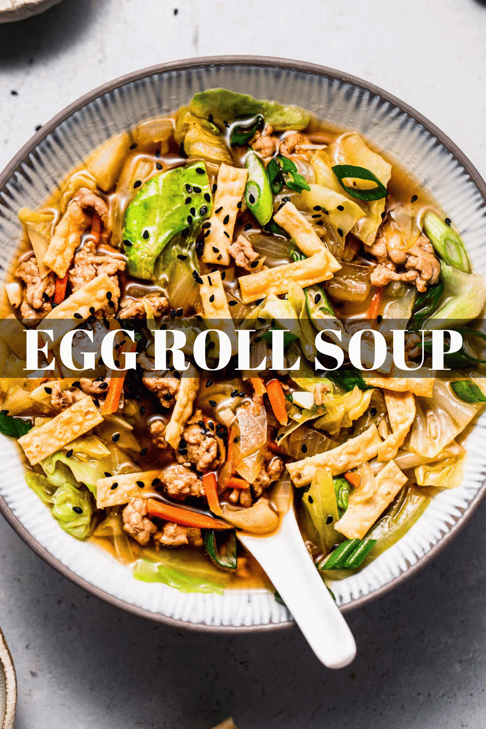 Egg Roll Soup Platings + Pairings
