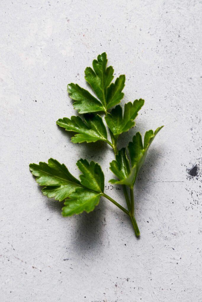 Italian Parsley leaves on counter. 