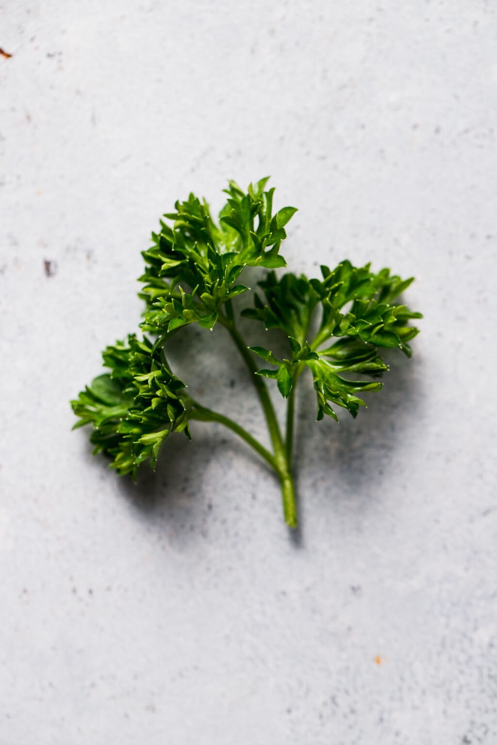 Italian Parsley vs. Curly Parsley What's the Difference? Platings