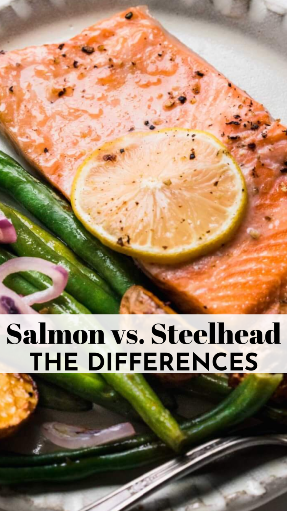 Salmon vs. Steelhead Trout What Are The Differences? Platings + Pairings