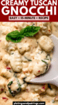Sun-Dried Tomato Gnocchi