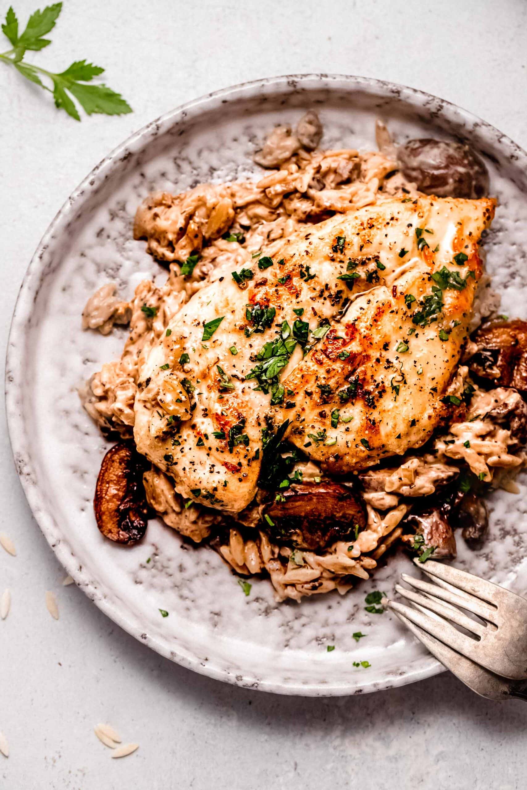 Chicken breast on top of creamy orzo on serving plate.