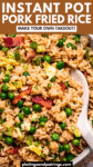 Instant Pot Pork Fried Rice Recipe