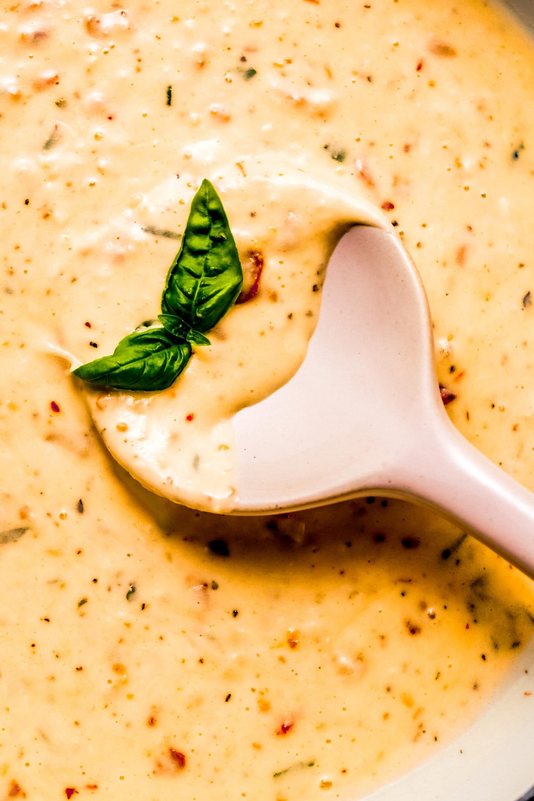 Close up of creamy sun dried tomato sauce on serving spoon.