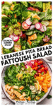 Fattoush with Pita Chips