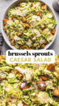 Brussel sprout caesar salad pinterest image.