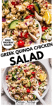 Quinoa Chicken Salad Recipe