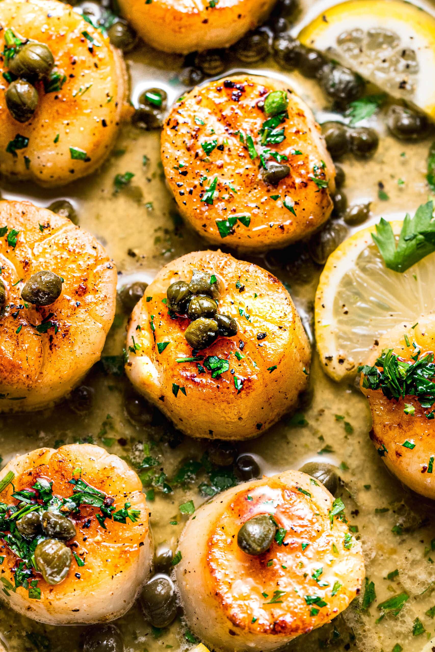 Sous Vide Scallops with Lemon Caper Sauce