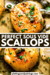 Sous vide scallops pinterest image.
