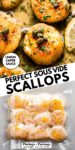 SOUS VIDE SCALLOPS PINTEREST IMAGE.