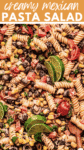 Mexican Pasta Salad Recipe pin