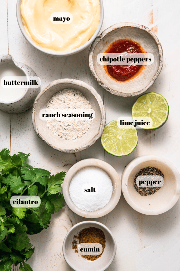 Ingredients for chipotle ranch on counter.