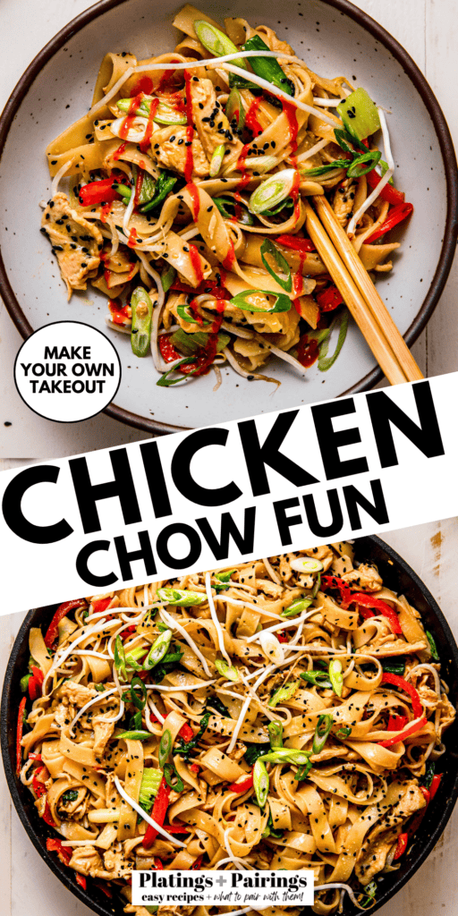 Chicken Chow Fun Recipe (Easy Stir Fried Noodles with Chicken)