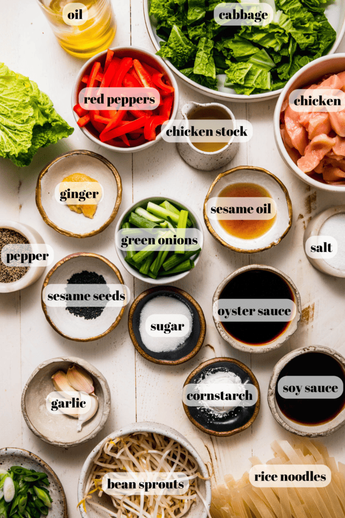 Ingredients for chicken chow fun labeled on counter.